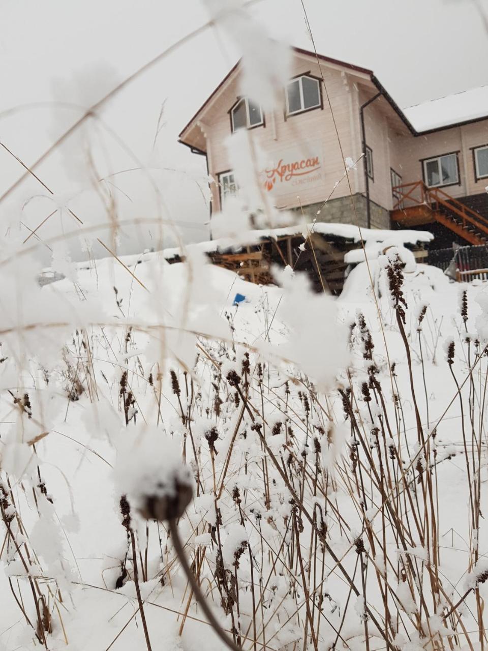 Гостьовий Дім Круасан Сімейний Bukovel Dış mekan fotoğraf